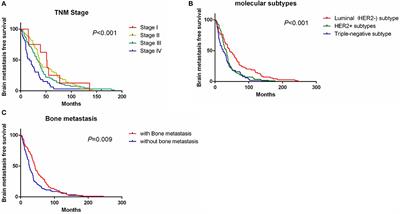 Analysis of Prognostic Factors Affecting the Brain Metastases Free Survival and Survival After Brain Metastases in Breast Cancer